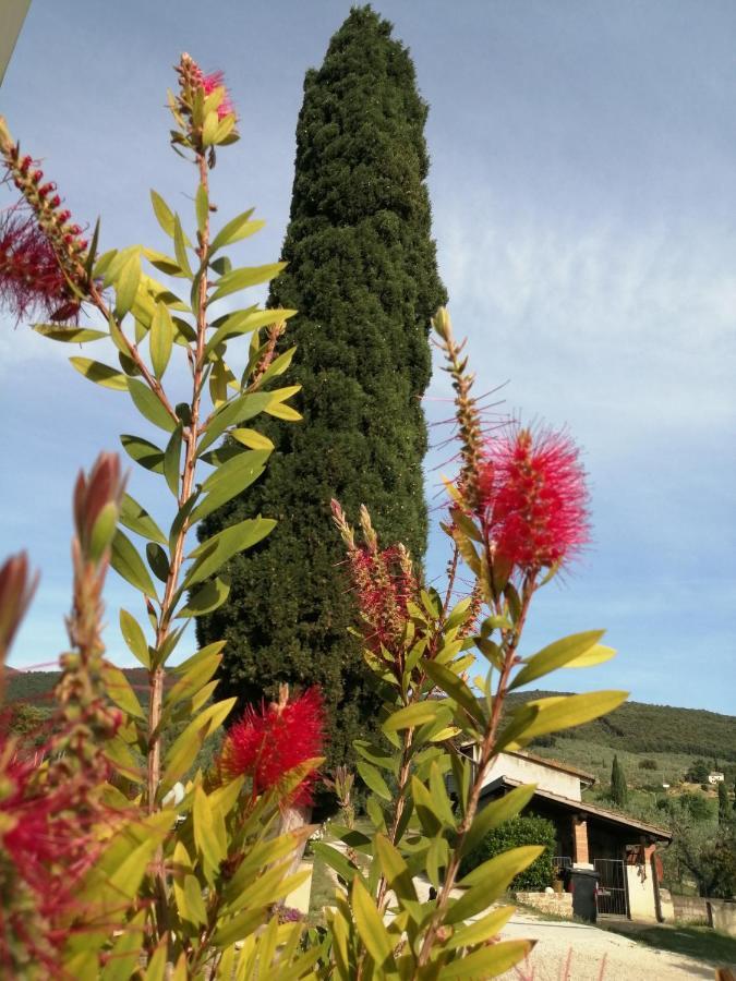 Borgo Buciardella Vila Baschi Exterior foto