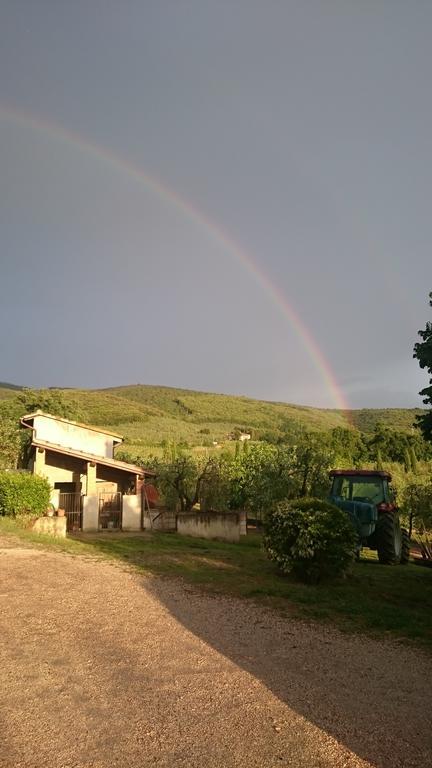 Borgo Buciardella Vila Baschi Exterior foto