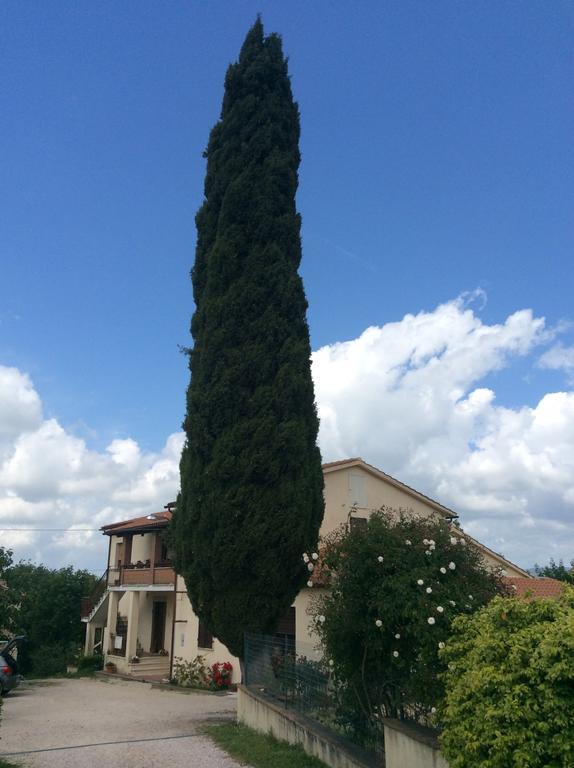 Borgo Buciardella Vila Baschi Exterior foto