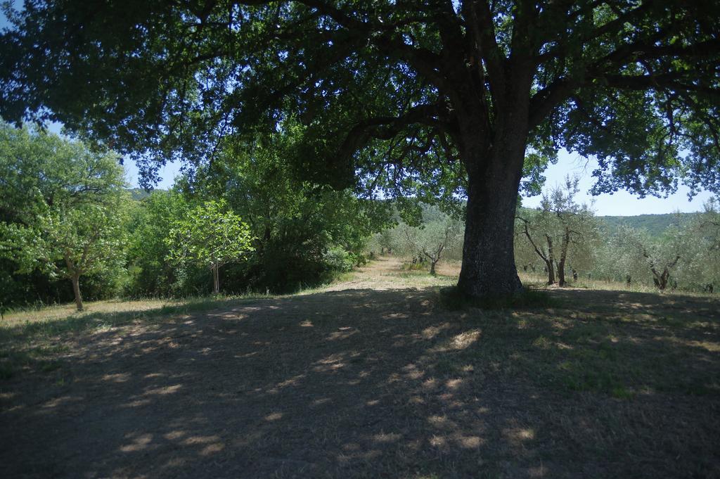 Borgo Buciardella Vila Baschi Exterior foto